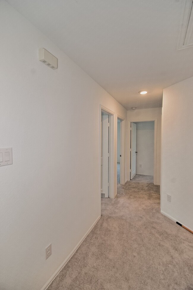 Building Photo - 4207 Palmetto Grv Ln