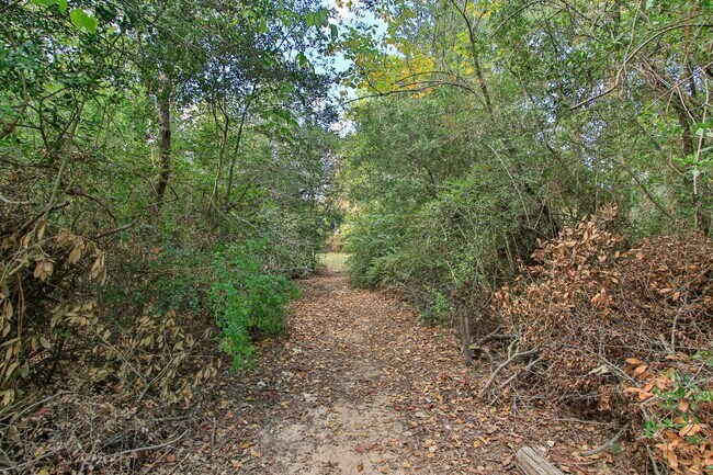 Building Photo - 21035 Summer Trace Ln