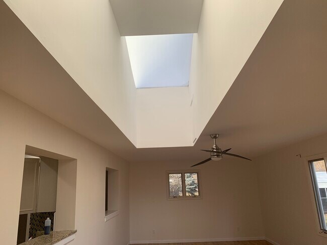 large skylight - 1720 Corey St