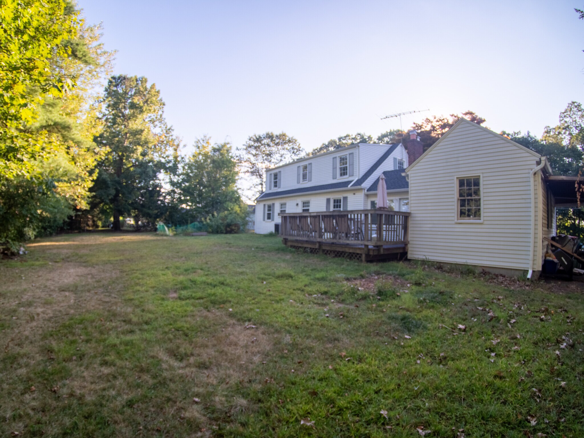 Back yard - 225 Cooper St