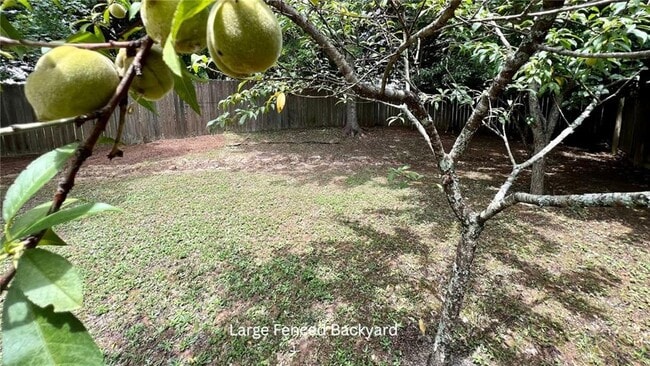 Building Photo - 720 Avening Ct