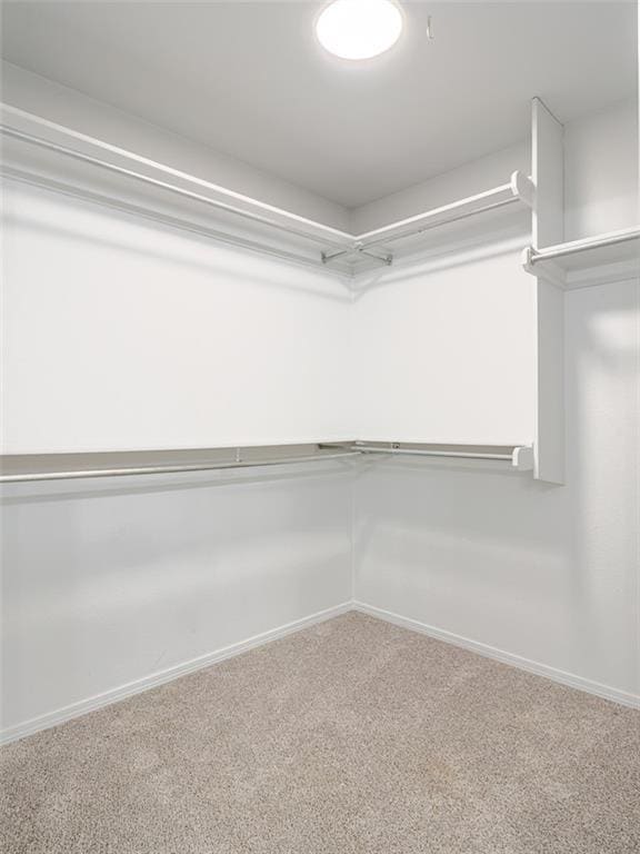 Building Photo - 2802 W Sunset Dr