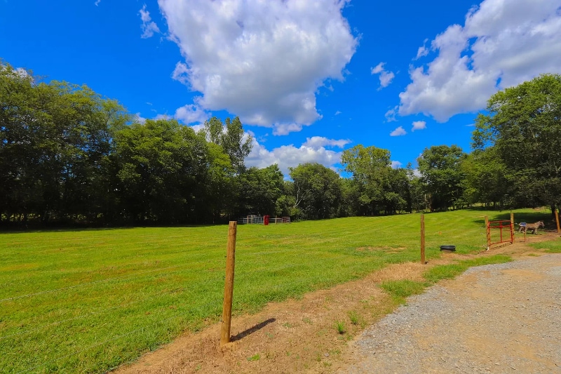 Building Photo - 333 Little Salt Lick Rd
