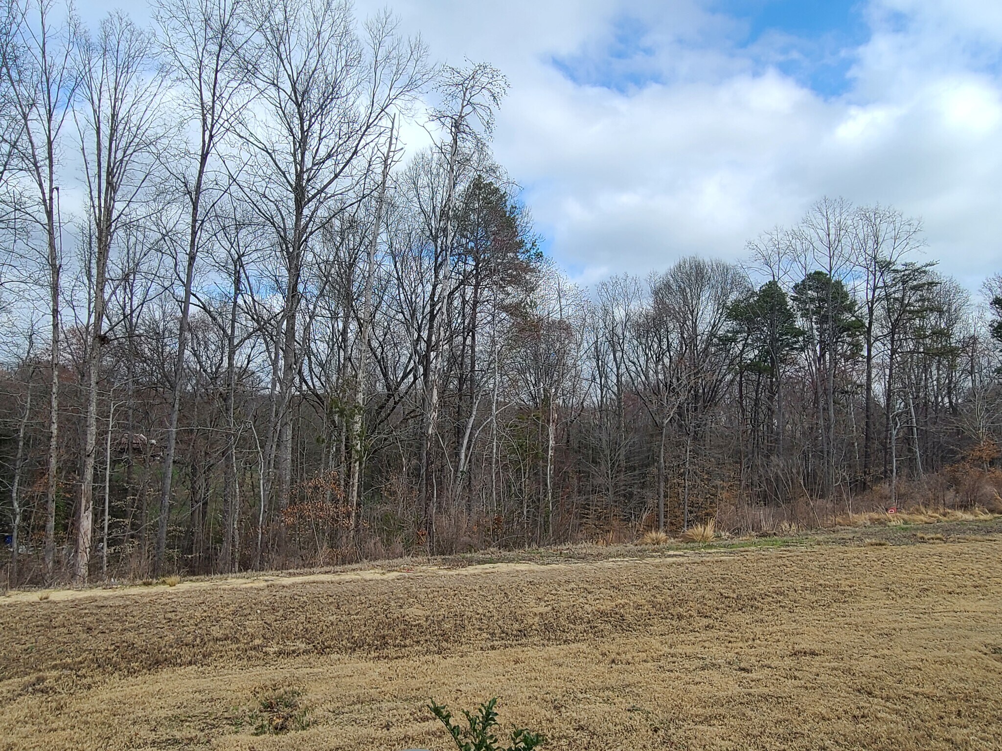 Building Photo - 806 Falls Grove Trl