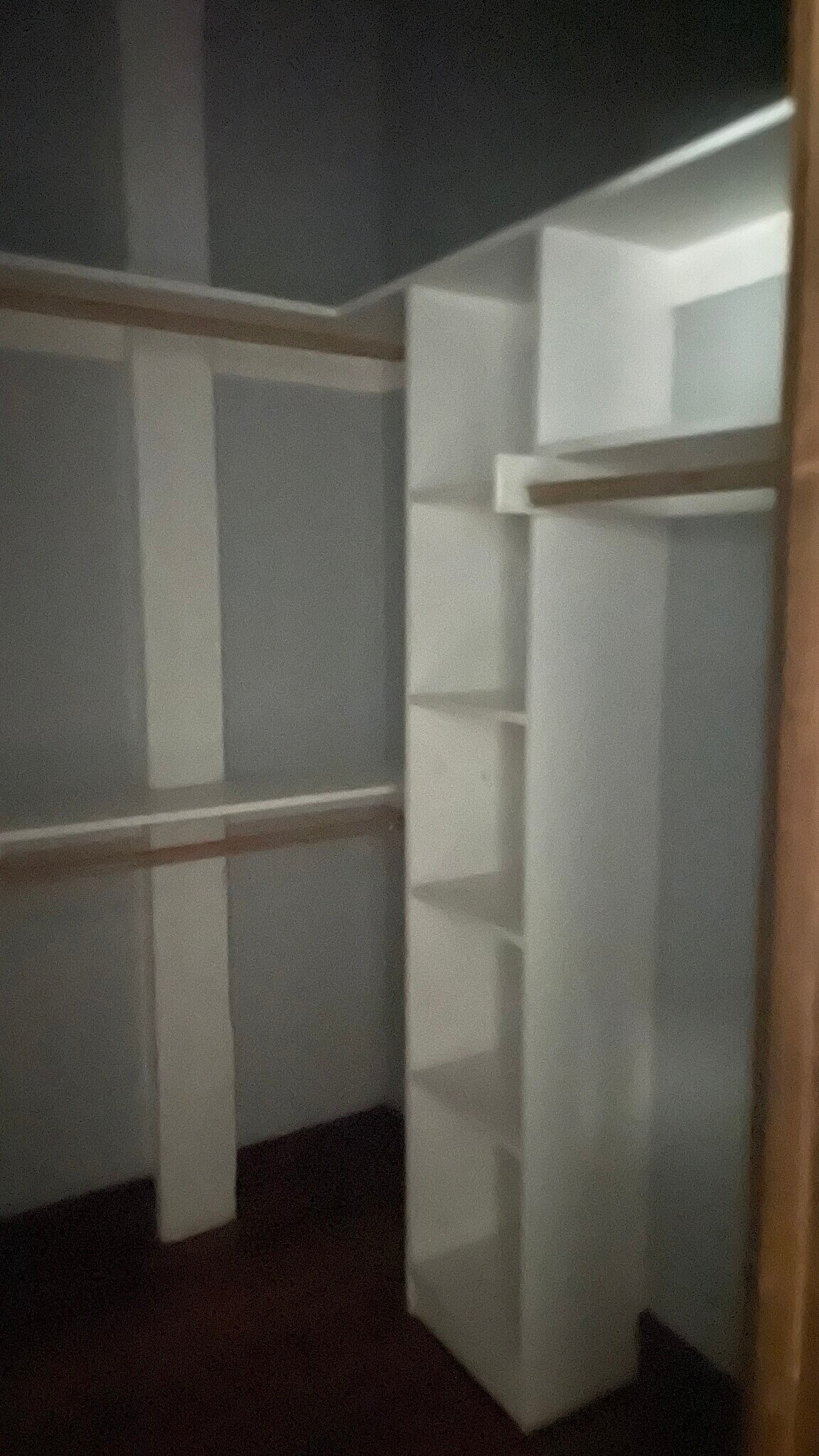 A large walk-in closet. - 121 Clifton Art Aly