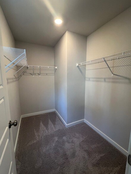 Building Photo - 1781 Frodo Wy