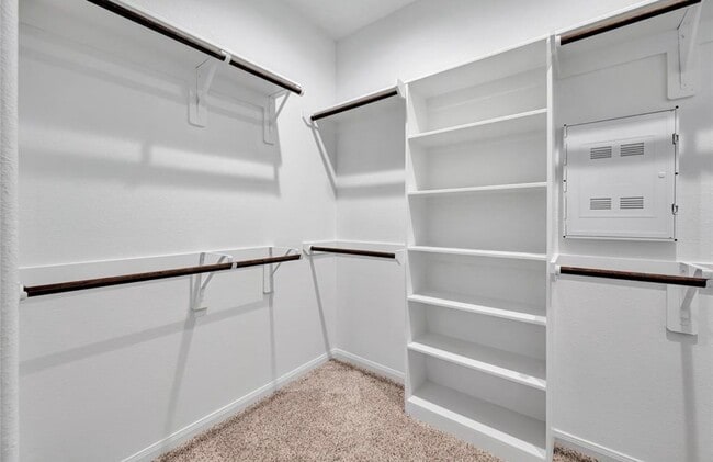 Building Photo - 3120 Moontide Ln