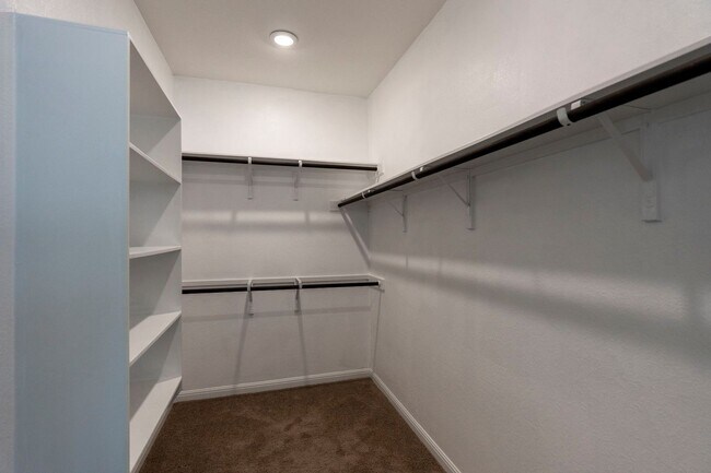 Building Photo - Dripping Springs Charmer