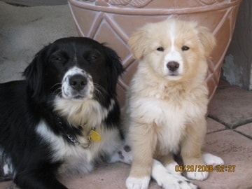 Building Photo - 1036 Felspar St