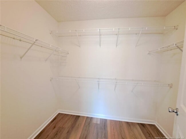 Building Photo - 206 Sandspur Ct