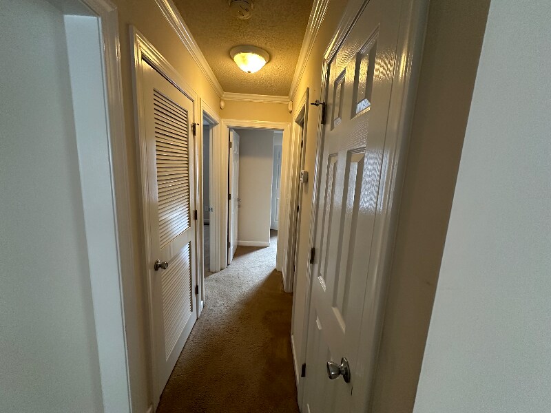 Building Photo - 75 Rollins Acres Ln