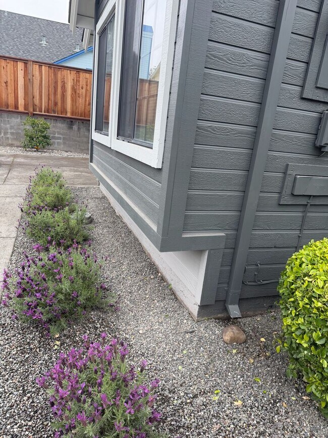 Building Photo - South Napa 3 Bedroom in Court