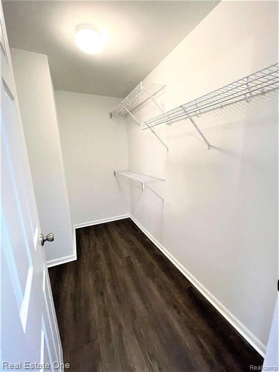 Building Photo - 4103 Cameron Cir