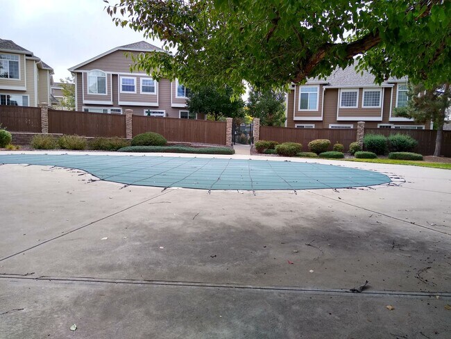 Building Photo - Stunning Highlands Ranch Townhome