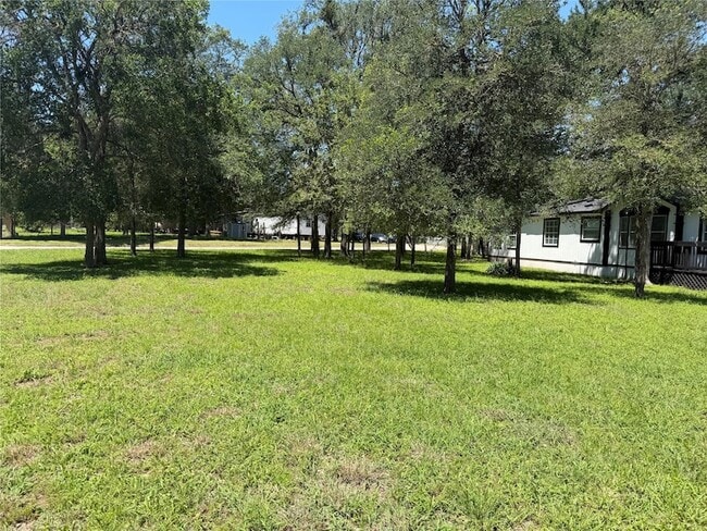 Building Photo - 236 Live Oak Dr