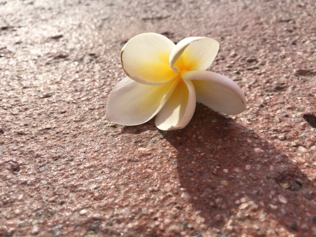 Building Photo - 68820 Risueno Road