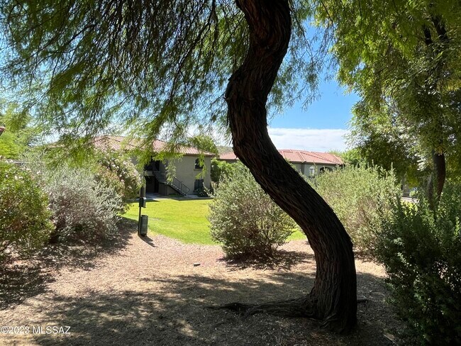 Building Photo - 5751 N Kolb Rd