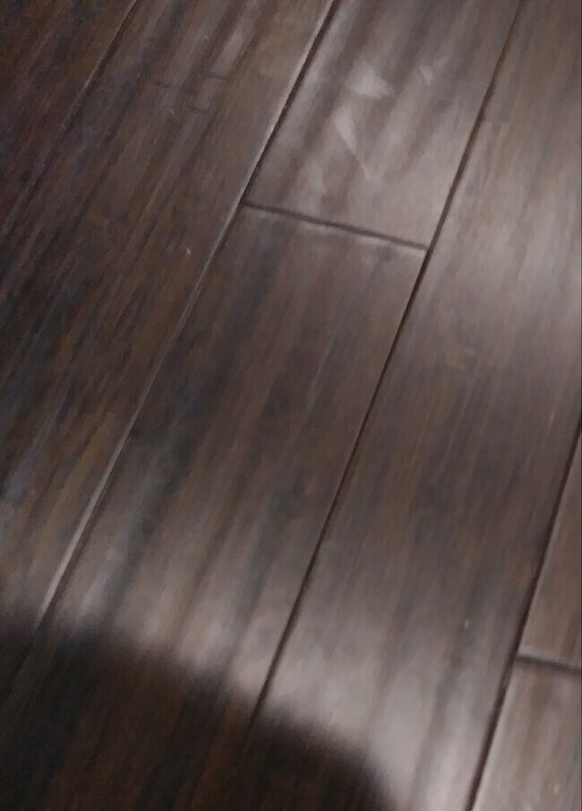Chocolate Bamboo Floors - 5 N Caroline St