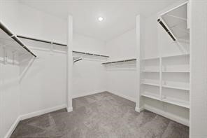 Building Photo - 31302 Quartet Ct