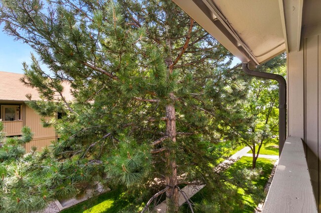 Building Photo - Great Condo near CSU