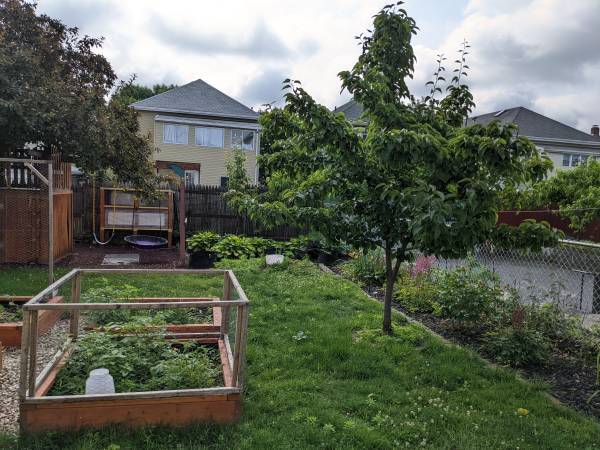 Backyard - 48 Wellington Rd