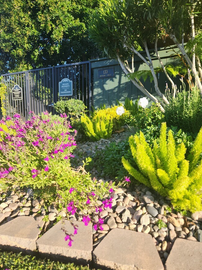 Building Photo - 131 Montana St