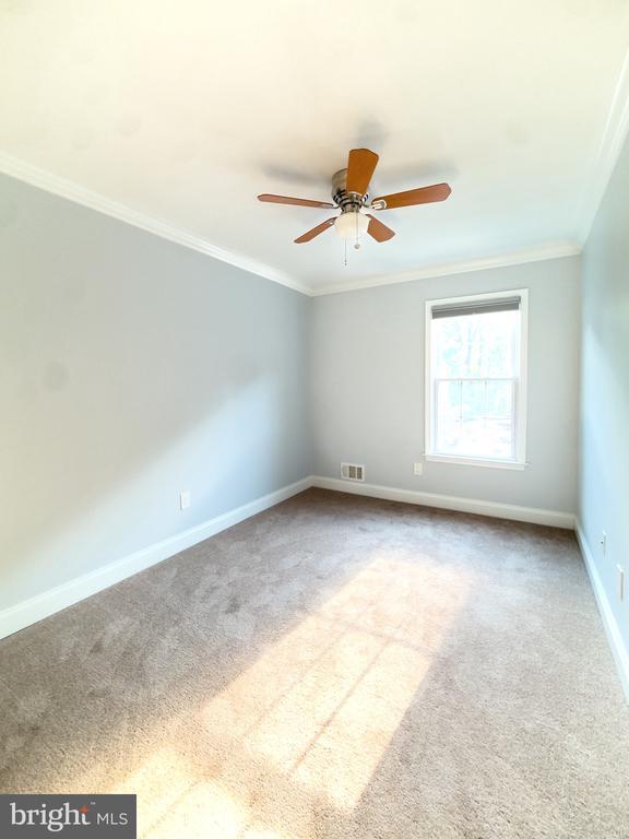 Building Photo - 2419 Ansdel Ct
