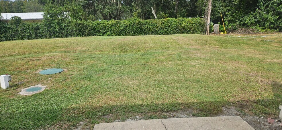 Backyard - 815 Trina Ln