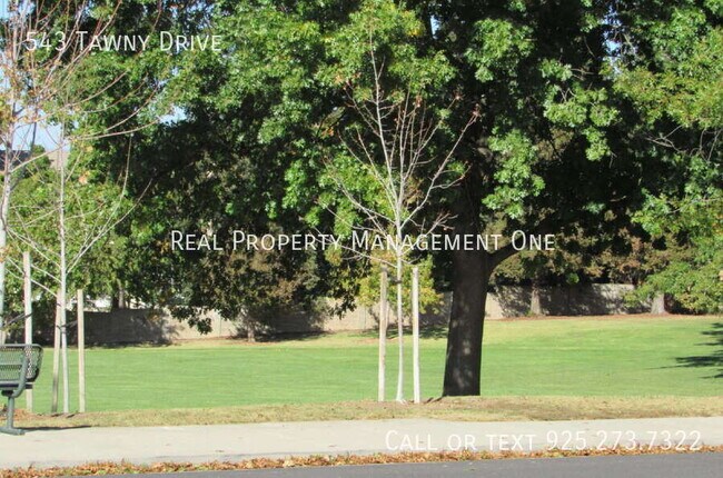 Building Photo - 543 Tawny Dr