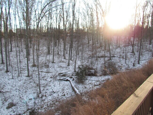 Building Photo - 15908 Tracker Ln