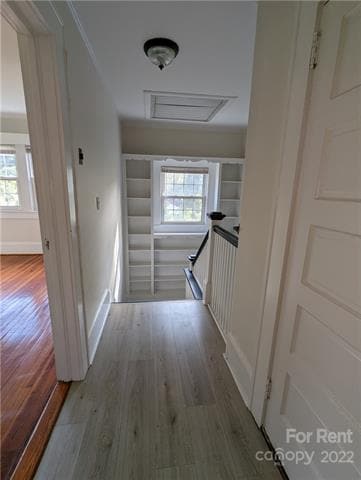 Building Photo - 904 Edgewood Cir