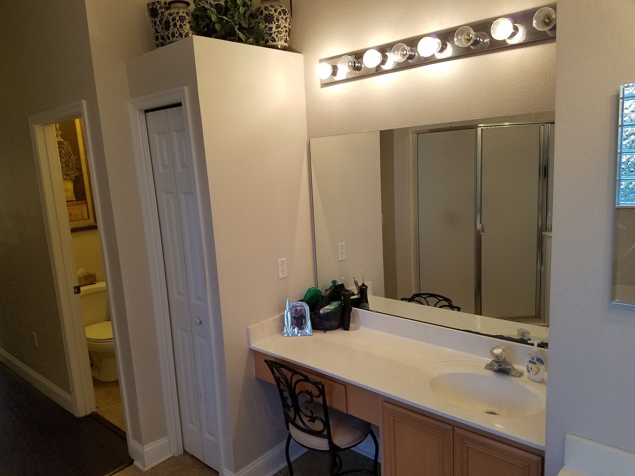 Bath- Master Downstairs - 737 Seneca Meadows Rd