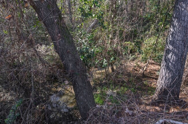 Building Photo - Beautifully Renovated 3-Bedroom Home in Columbia, SC!