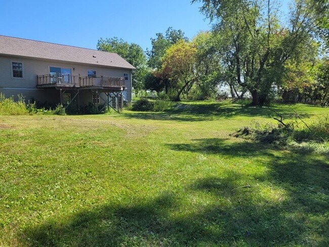 backyard - 1525 T Ave