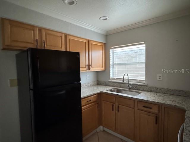 Building Photo - 616 Palmer St