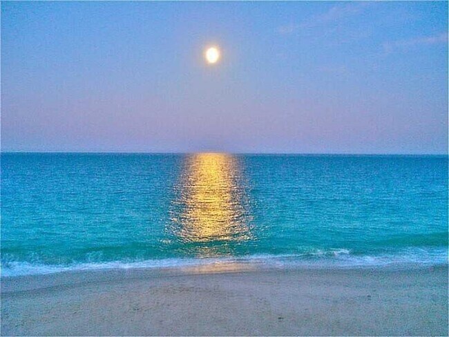 Building Photo - 5400 Jimmy Buffett Mem Hwy