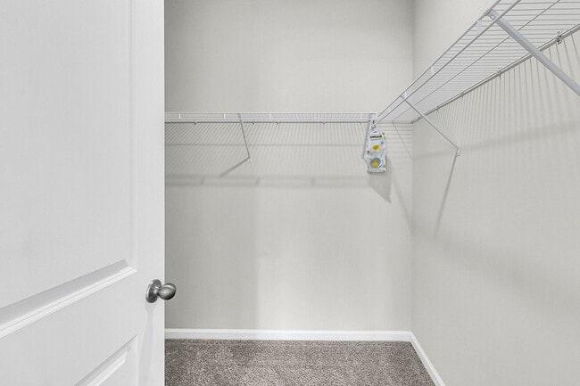 Building Photo - 3 Bedroom 2.5 Bath Located in Pine Hills i...