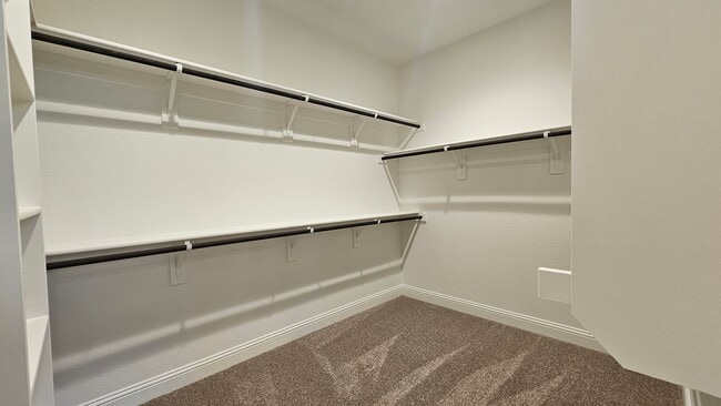 Building Photo - New Home For Rent!