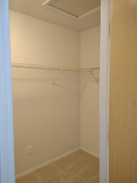 Building Photo - 20 Appaloosa Ln