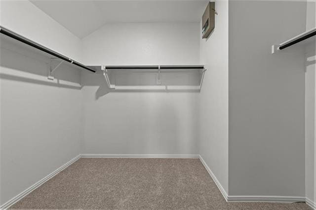 Building Photo - 1504 Foxglove Dr