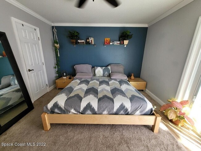 Building Photo - 335 Paradise Blvd