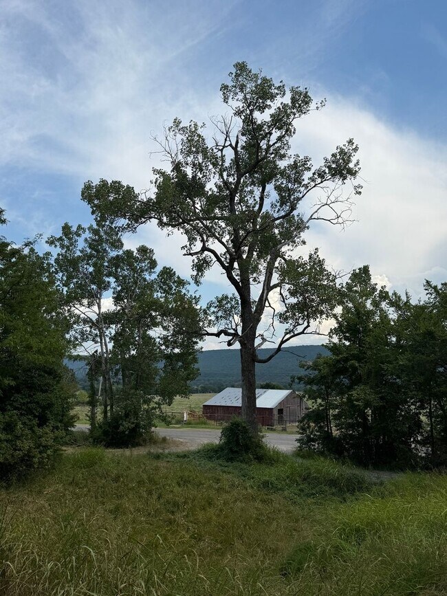 Building Photo - Charming 2BR House in Hartshorne