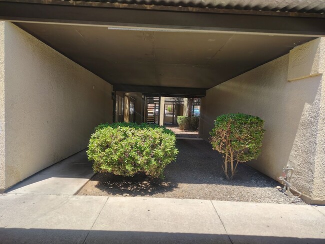 Building Photo - 1620 N Wilmot Rd