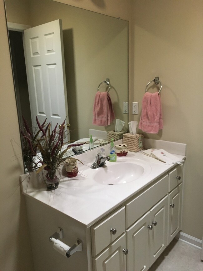 second bathroom vanity - 1243 Carriage Dr