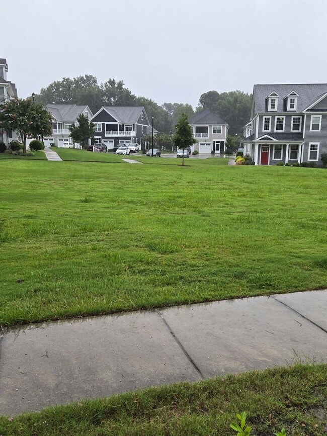 Building Photo - Wow! Incredible Luxury Townhome in Williamsburg!