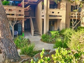 Building Photo - 1046 Calle Del Cerro