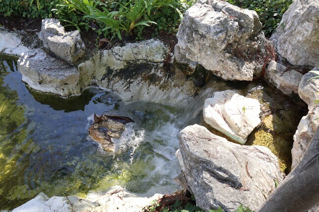 Building Photo - 3605 W Hidden Ln