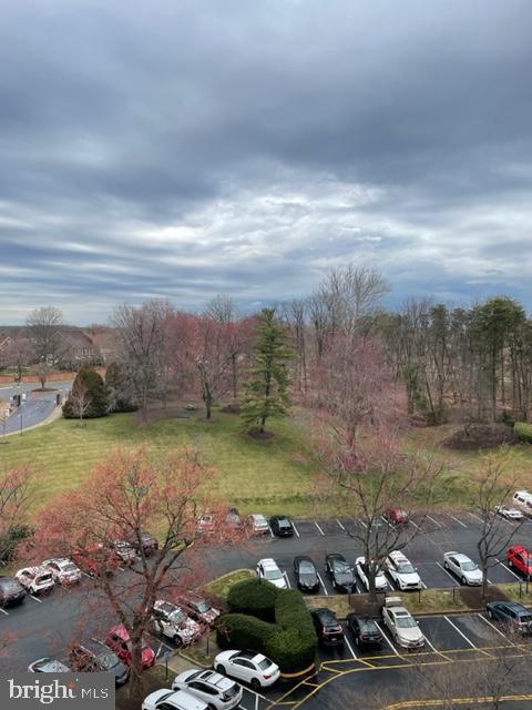 Building Photo - 205 Yoakum Pkwy