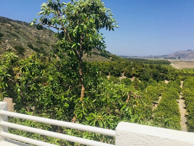 Primary Photo - Top of Vista Camarillo