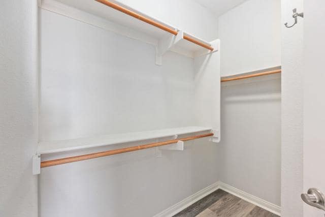 Building Photo - 1241 Highbluff Ave